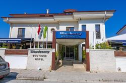 Blueberry Boutique Hotel