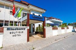 Blueberry Boutique Hotel