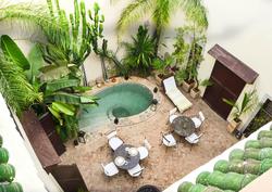Riad Les Ammonites