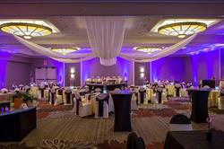 DoubleTree by Hilton Pittsburgh-Green Tree