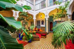 Riad Zinoun