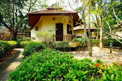 Coral Resort