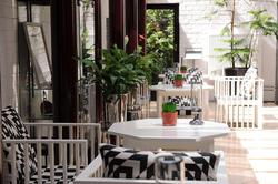 Domicil Hotel Bonn