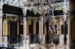 Riad Omar
