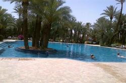 In Club Palmeraie Resort