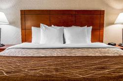 Comfort Inn & Suites University South