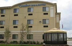 Comfort Inn & Suites South
