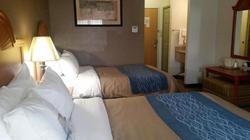 Comfort Inn Kalamazoo Area