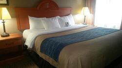 Comfort Inn Kalamazoo Area