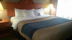 Comfort Inn Kalamazoo Area