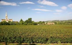 Chateau De Lantic