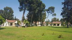 Bungalows Diamant Vert