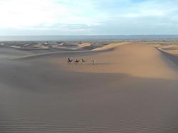 La Perle Du Draa