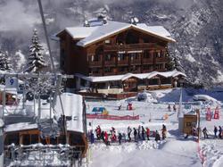 Les Flocons