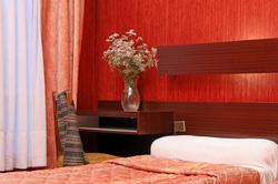 Hotel Camelia International