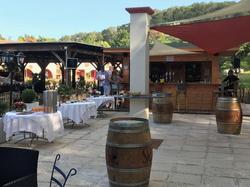 Les Pins Blancs De Provence