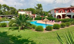Les Pins Blancs De Provence