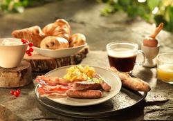 Disney Sequoia Lodge  + Bilet