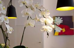 Best Western  Jardin De Cluny