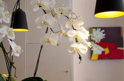 Best Western  Jardin De Cluny
