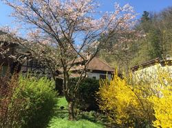 Le Saint Barnabe, Hotel & Spa