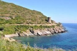 U Patriarcu