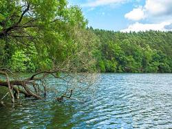 Waldsee Hotel Am Wirchensee