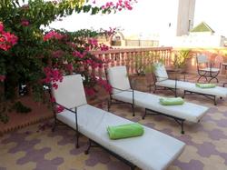 Riad Habib