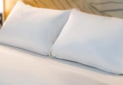 B&B HOTEL Grenoble Université 2