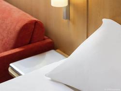 Ibis Lyon Gerland Rue Mérieux