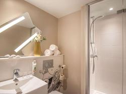 Ibis Pau Lescar
