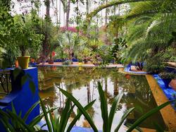 Riad Daria