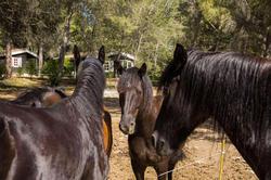 La Villa Vicha, The Originals Relais