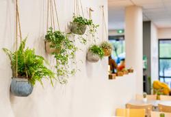 B&B HOTEL MAUBEUGE LOUVROIL