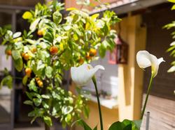 Hotel The Originals Le Puy-en-Velay Bristol