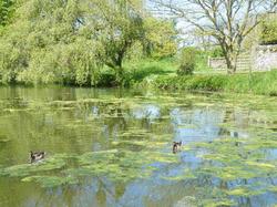 La Ferme des Mares