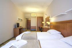 Business Hotel Cerkezkoy