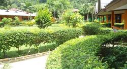 Diamond Cave Resort