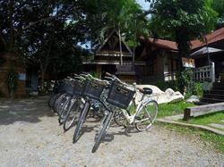 The Old Palace Resort