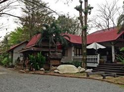 The Old Palace Resort