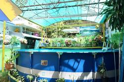 King's Home Hua Hin Homestay