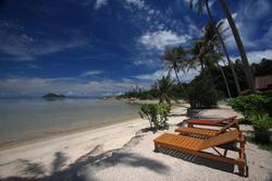 Beck's Resort