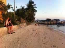 Black White Bungalows