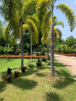 Baan Chai Thung Resort by ZUZU