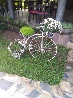 Baan Chai Thung Resort by ZUZU