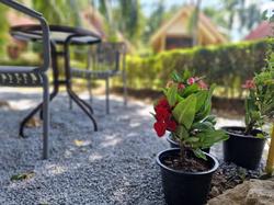 Rim Khao Resort