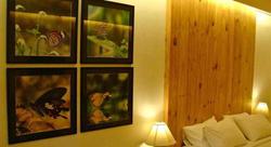 Amara Resort