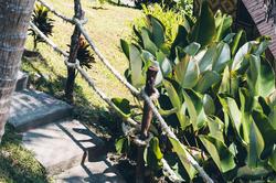 Railay Garden View Resort