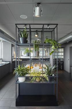Casa Camper Berlin