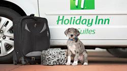 Holiday Inn & Suites Bloomington-Airport